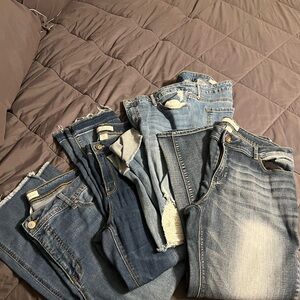 Cato Women's Assorted Blue Jeans Collection